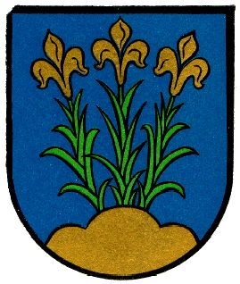 Wappen von Enger/Arms (crest) of Enger
