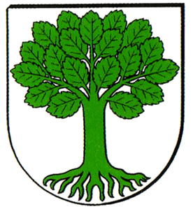 Wappen von Hengen/Arms (crest) of Hengen