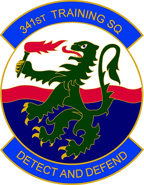 File:341st Training Squadron, US Air Force.jpg