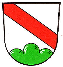 Wappen von Berg (Hof)/Arms of Berg (Hof)