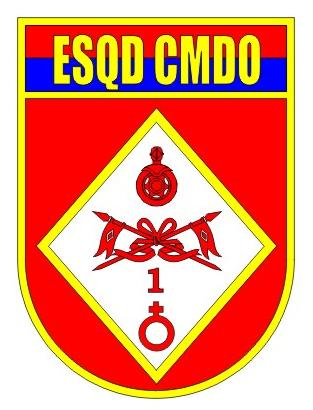File:Headquarters Squadron, 1st Mechanized Cavalry Brigade, Brazilian Army.jpg