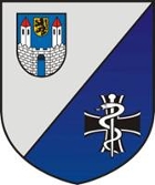 Coat of arms (crest) of the Medical Regiment 1, Germany