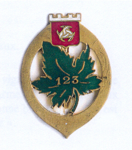 File:123rd Infantry Regiment, French Army.jpg