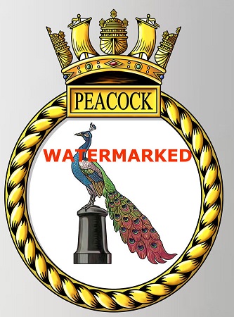 File:HMS Peacock, Royal Navy.jpg