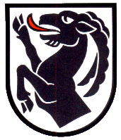Wappen von Interlaken/Arms (crest) of Interlaken