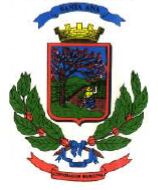 Arms of Santa Ana (San José)