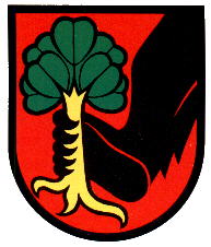 Wappen von Erlach (district)/Arms (crest) of Erlach (district)