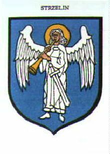 Arms of Strzelin