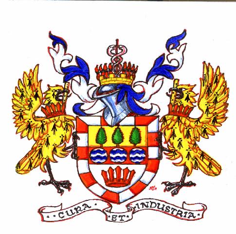 Arms (crest) of Mount Gambier