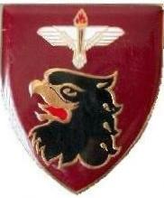 Coat of arms (crest) of the 44 Pathfinder Platoon, South African Army