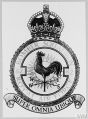 No 82 Bomber Squadron, Royal Air Force.jpg