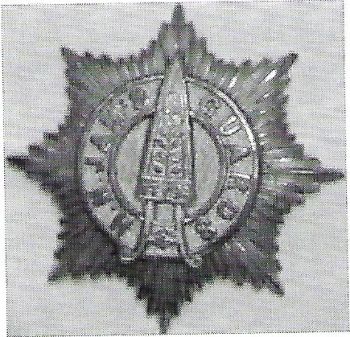 Coat of arms (crest) of the Shri Huzur Body Guard, Nawanagar