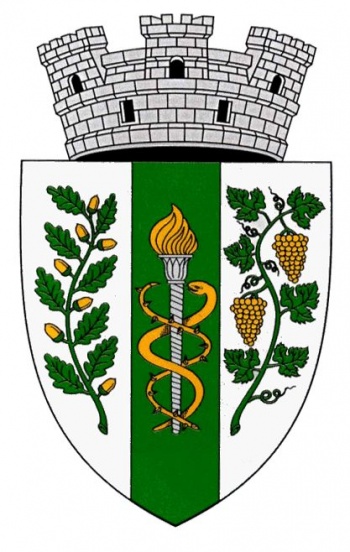 Coat of arms of Codru