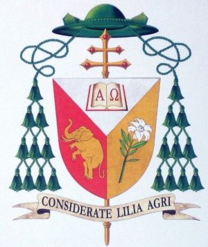Arms of José Tolentino Calaça de Mendonça