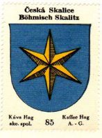 Arms (crest) of Česká Skalice