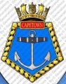 HMS Cape Town, Royal Navy.jpg