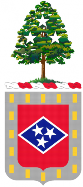 File:30th Finance Battalion, Tennessee Army National Guard.png