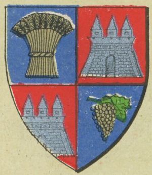 Arms of Arad