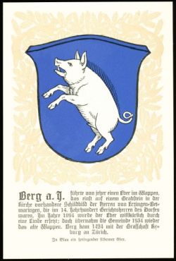 Wappen von/Blason de Berg am Irchel