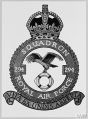 No 294 Squadron, Royal Air Force.jpg