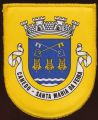 Brasão de Canedo (Santa Maria da Feira)/Arms (crest) of Canedo (Santa Maria da Feira)
