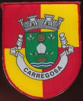 Brasão de Carregosa/Arms (crest) of Carregosa