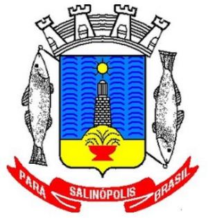 Brasão de Salinópolis/Arms (crest) of Salinópolis
