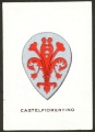 Castelfiorentino.bri.jpg