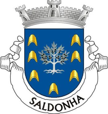 Brasão de Saldonha/Arms (crest) of Saldonha