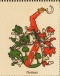 Wappen Geitner