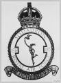 No 156 Squadron, Royal Air Force.jpg