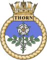 HMS Thorn, Royal Navy.jpg