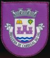 Brasão de Carregal do Sal (freguesia)/Arms (crest) of Carregal do Sal (freguesia)