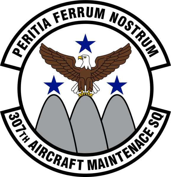 File:307th Aircraft Maintenance Squadron, US Air Force1.png