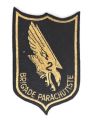 2nd Parachute Brigade, French Army.jpg