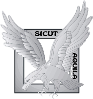 Air Brigade of Security and Intervention Forces, French Air Force.png