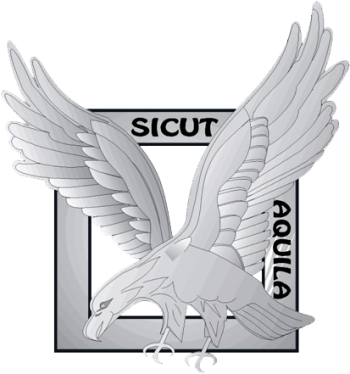 Coat of arms (crest) of the Air Brigade of Security and Intervention Forces, French Air Force