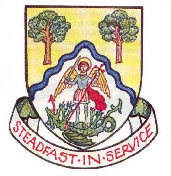 Arms (crest) of Basingstoke and Deane