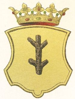 Wappen von Třebechovice pod Orebem/Coat of arms (crest) of Třebechovice pod Orebem