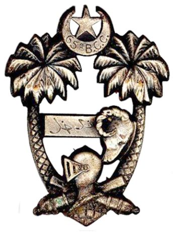 Coat of arms (crest) of the 65th Tank Battalion, French Army