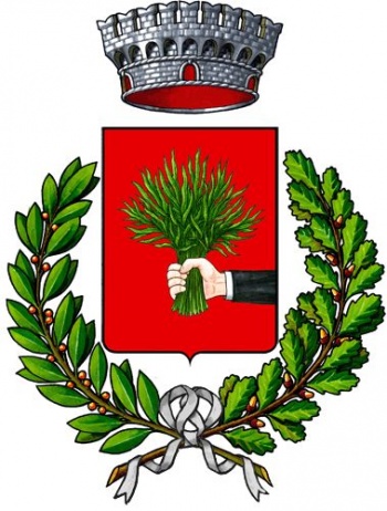 Stemma di Salizzole/Arms (crest) of Salizzole