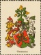 Wappen Saggmann