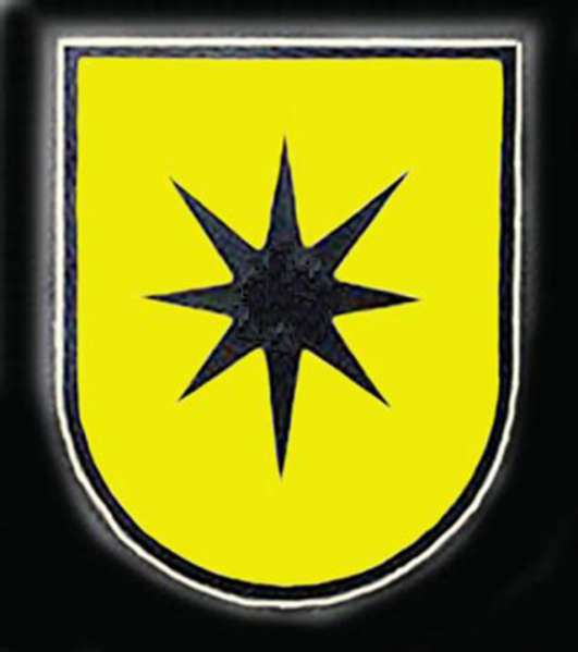 File:Armoured Battalion 243, German Army.png