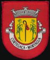 Brasão de Cortegaça (Mortágua)/Arms (crest) of Cortegaça (Mortágua)