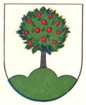 Arms of Riedheim]]Riedheim (Hilzingen) a former municipality and now part of Hilzingen in Germany