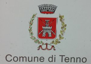 Arms of Tenno