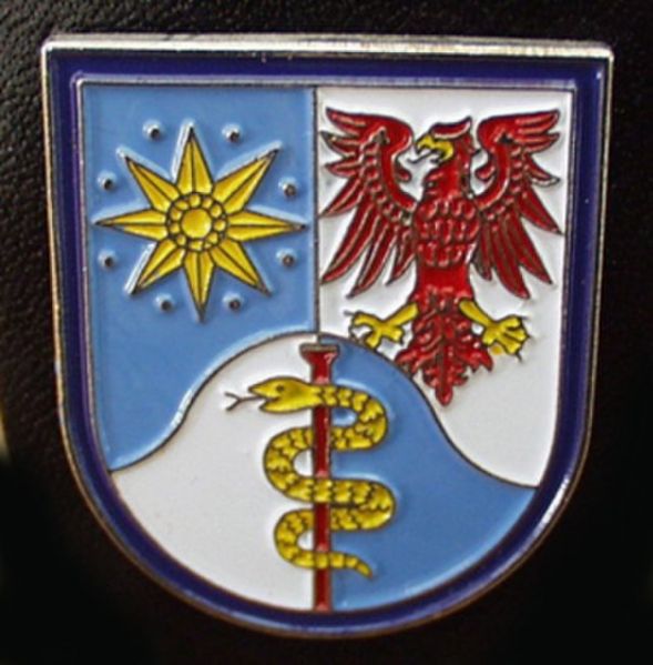 File:Headquarters Company, Medical Brigade East, German Army.jpg