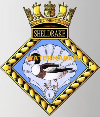 Coat of arms (crest) of the HMS Sheldrake, Royal Navy