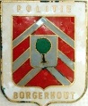 Borgerhout.pol.jpg