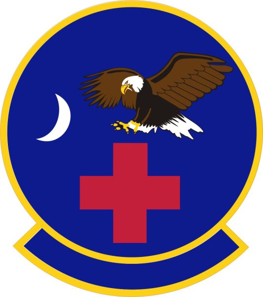 File:315th Aeromedical Evacuation Squadron, US Air Force.jpg